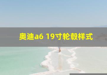 奥迪a6 19寸轮毂样式